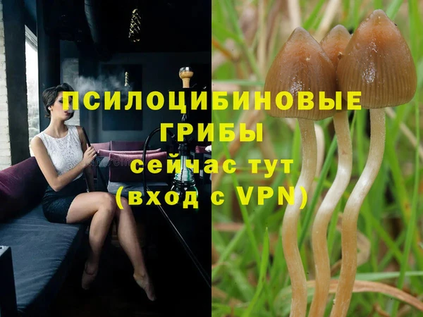 каннабис Зеленокумск