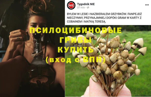 твердый Зерноград