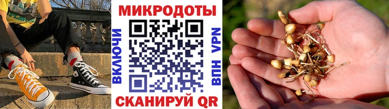 Галлюциногенные грибы Psilocybine cubensis  MEGA ONION  Карабаново 